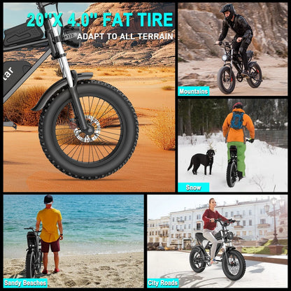 Electric Bike for Adults Ridstar, 1200W 30mph Moutain Bike,48V 15.6AH Battery E-Bike,20" Fat Tire Electric Motorcycle,Electric Bicycle 7 Speed Full Suspension