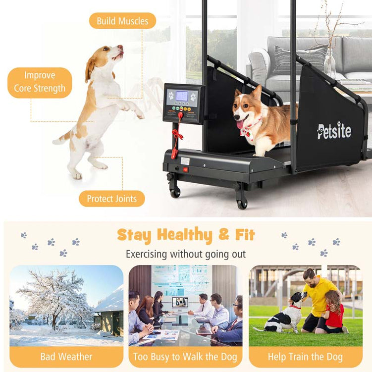 200 Lbs Dog Treadmill Pet Running Machine Indoor Pet Exercise Equipment With Remote Amp 14039039 Lcd Screen