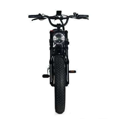 Electric Mountain Bike for Adults | 20 x 4.0 Fat Tires, 1000W Motor, 48V 20Ah Removable Battery, Max Speed 45MPH, Shi Mano 7-Speed for Off-Road Adventures