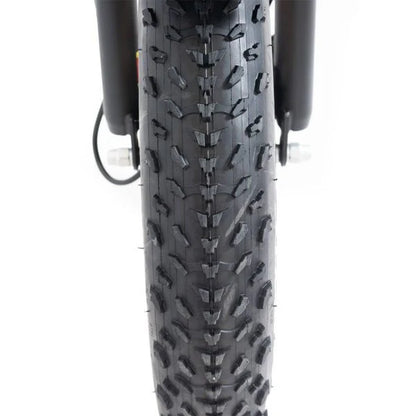 20 48V/14AH 750W Foldable Fat Tire Electric Trike, 330LBS